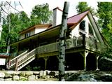 Mohican I